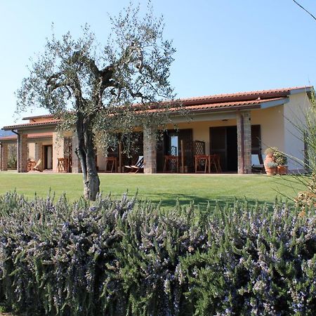 קסטליונה דלה פסקאיה Agriturismo Il Vecchio Mandorlo מראה חיצוני תמונה