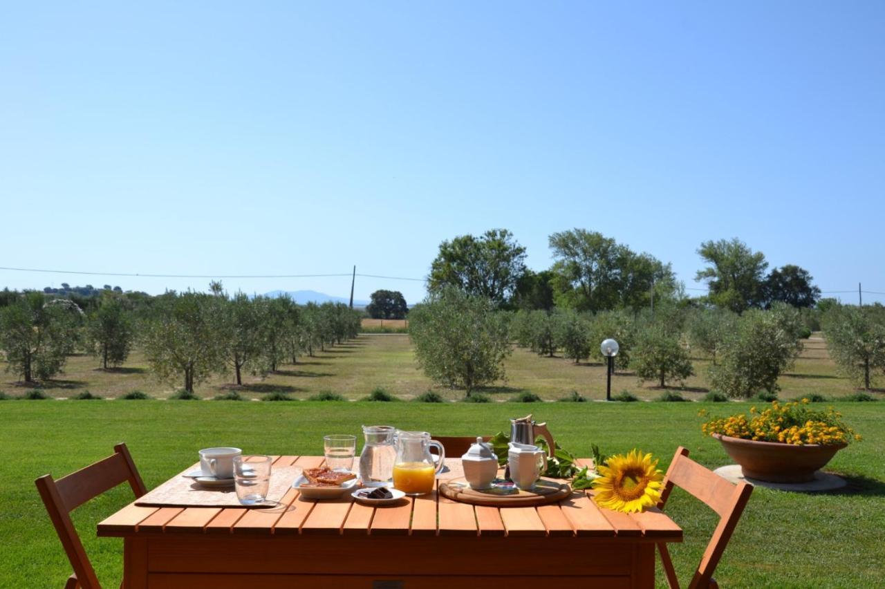קסטליונה דלה פסקאיה Agriturismo Il Vecchio Mandorlo מראה חיצוני תמונה