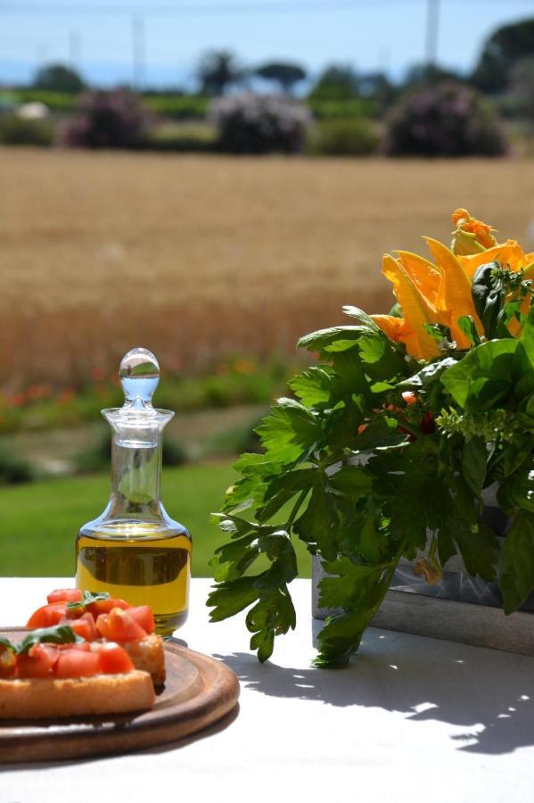 קסטליונה דלה פסקאיה Agriturismo Il Vecchio Mandorlo מראה חיצוני תמונה