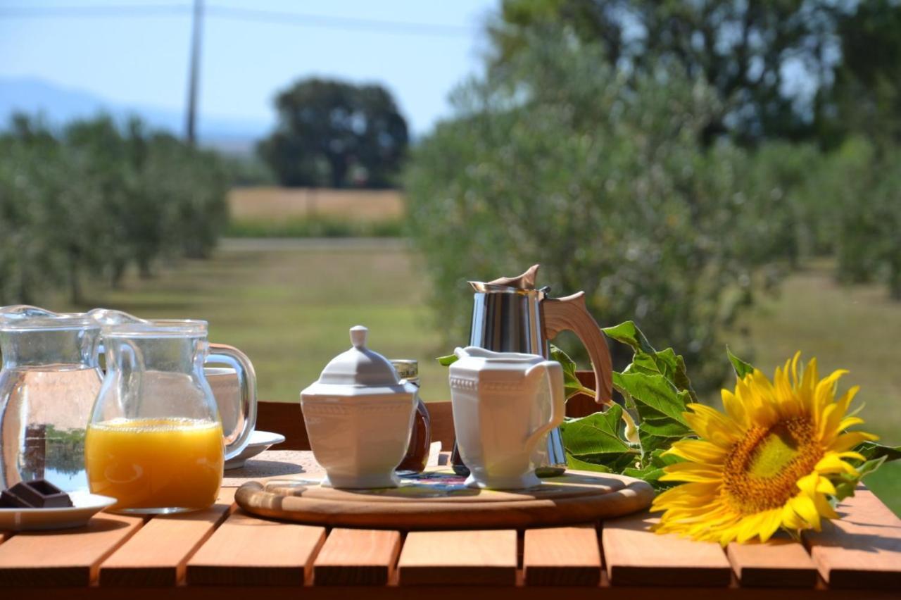 קסטליונה דלה פסקאיה Agriturismo Il Vecchio Mandorlo מראה חיצוני תמונה