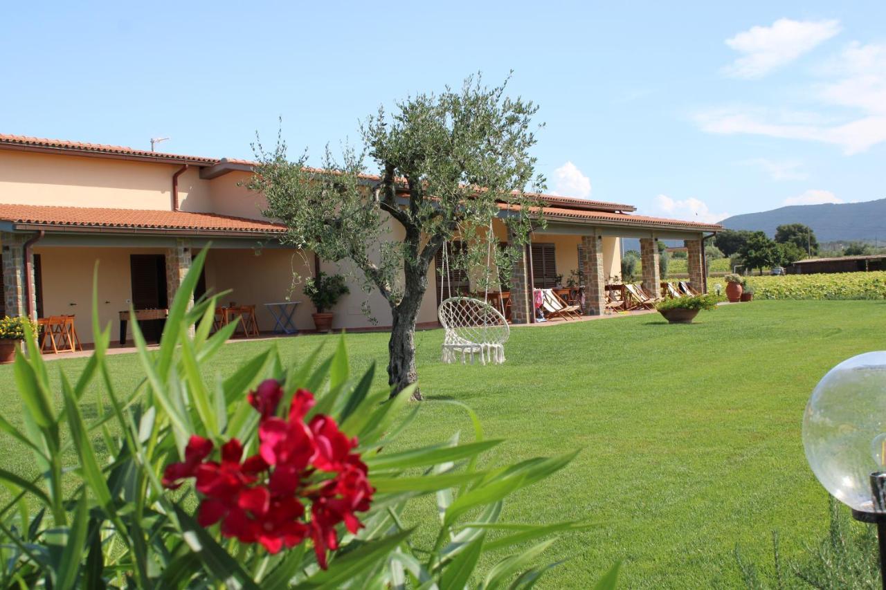 קסטליונה דלה פסקאיה Agriturismo Il Vecchio Mandorlo מראה חיצוני תמונה