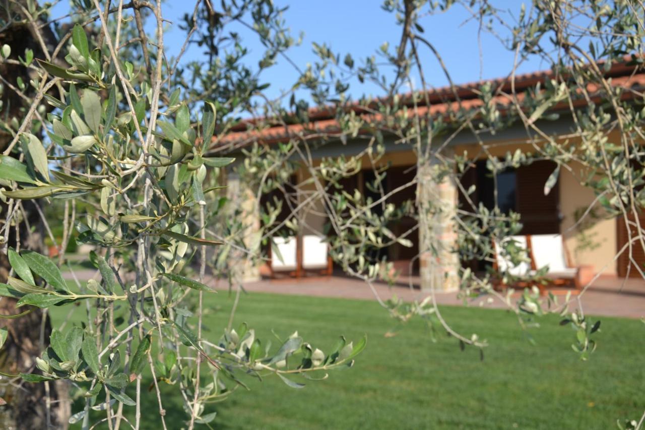 קסטליונה דלה פסקאיה Agriturismo Il Vecchio Mandorlo מראה חיצוני תמונה