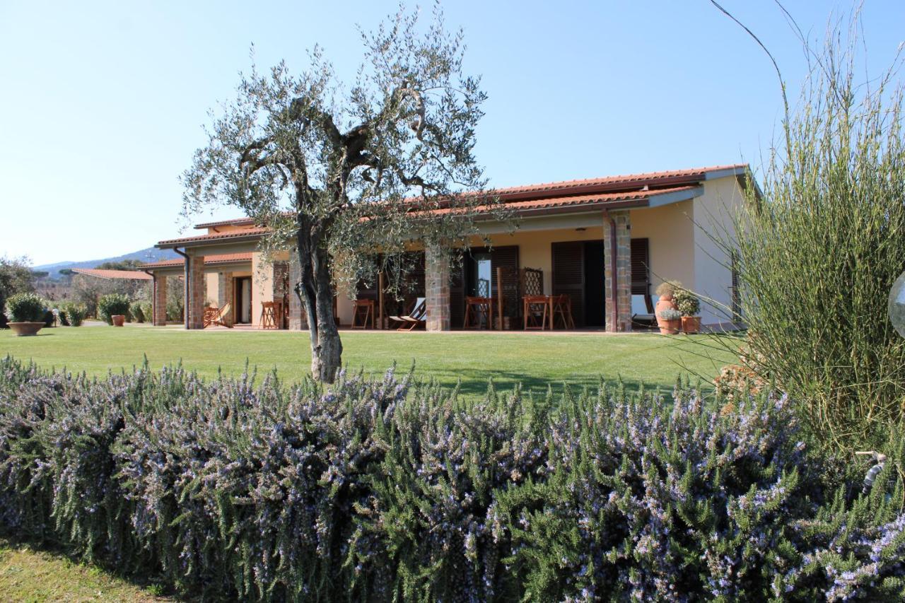קסטליונה דלה פסקאיה Agriturismo Il Vecchio Mandorlo מראה חיצוני תמונה