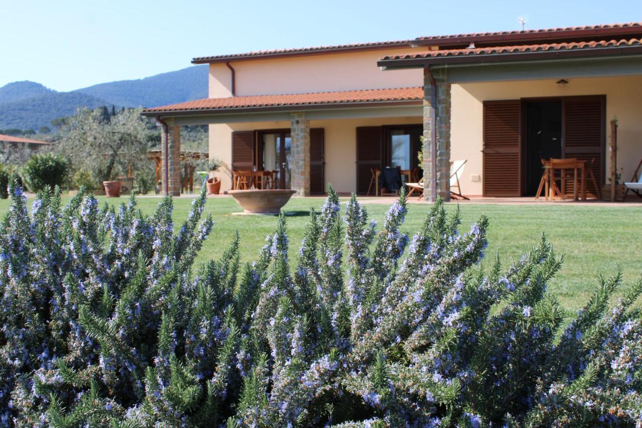 קסטליונה דלה פסקאיה Agriturismo Il Vecchio Mandorlo מראה חיצוני תמונה